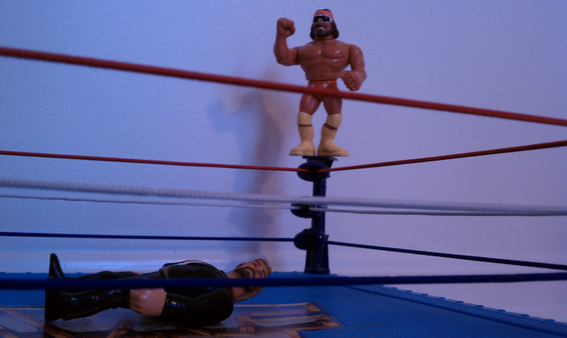 Illustration for article titled Beard Brigade remembers Wrestlemania IV